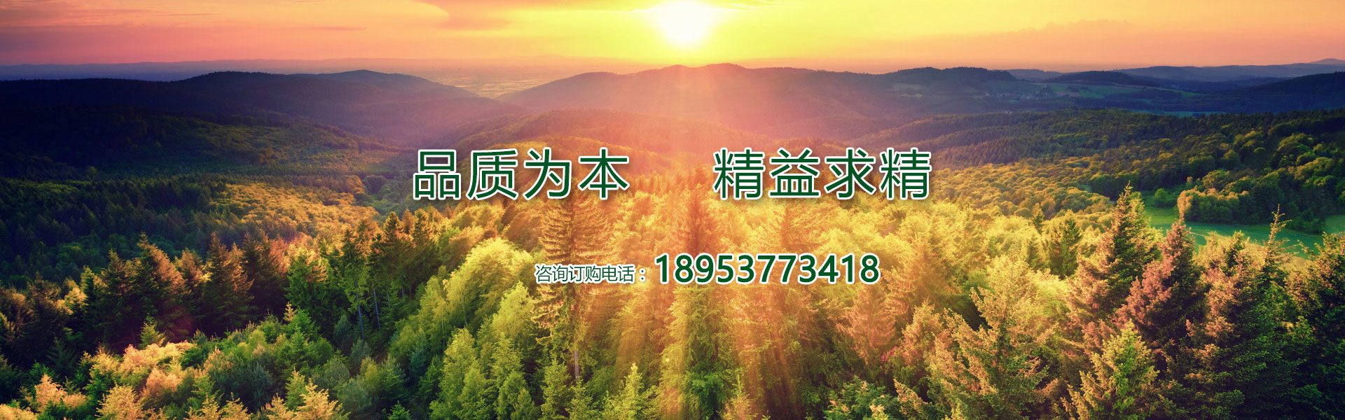 鑄造煤粉廠(chǎng)家